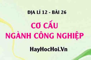 Cơ cấu ngành công nghiệp: Cơ cấu theo ngành, theo lãnh thổ và thành phần kinh tế - Địa lí 12 bài 26
